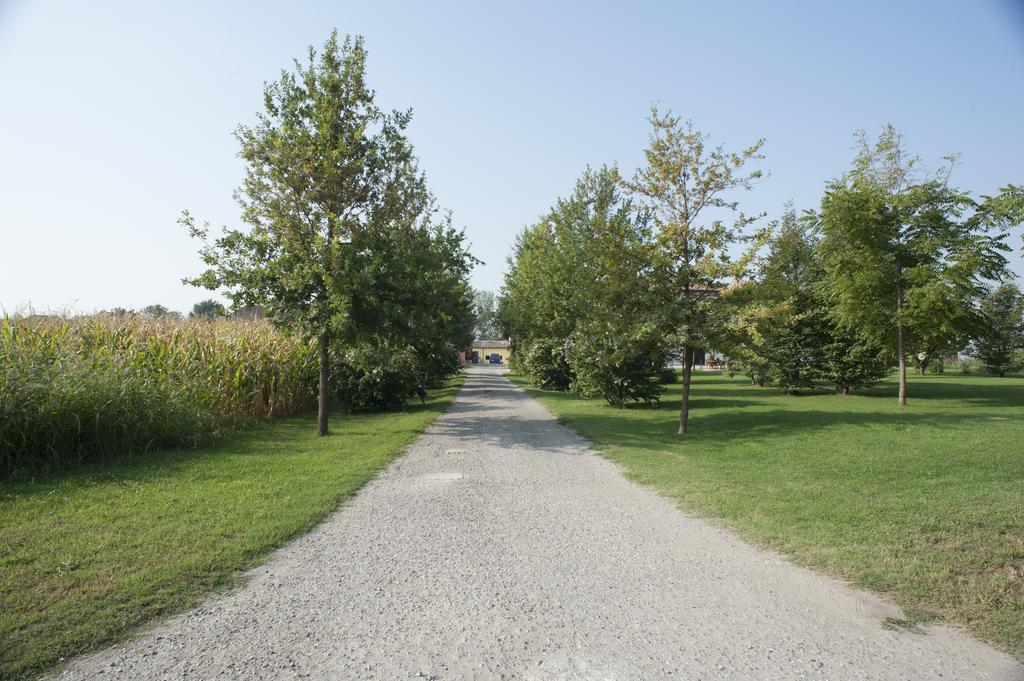 Agriturismo Corte Acconi Mântua Exterior foto